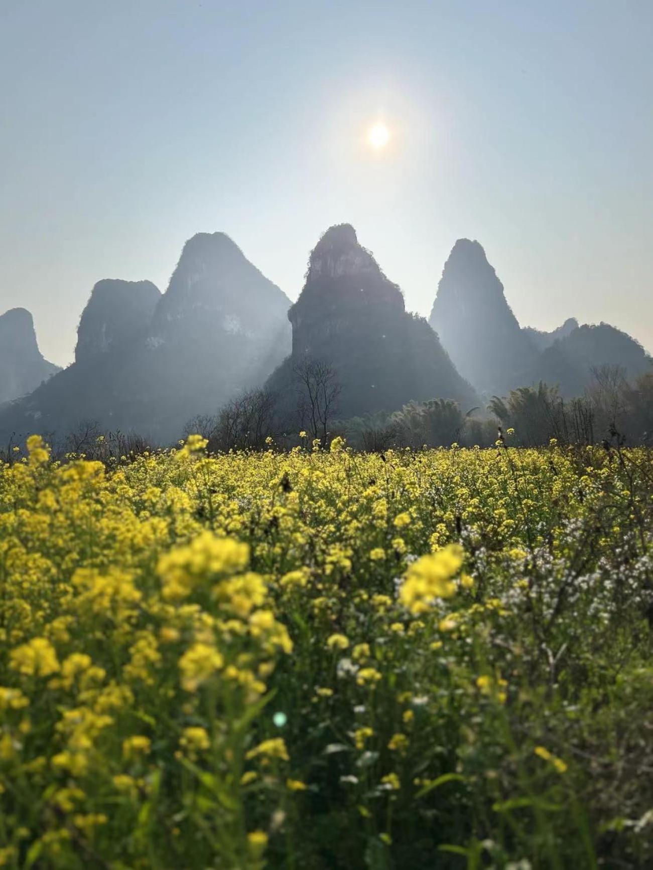 Li-River Island Resort Xingping Yangshuo Dış mekan fotoğraf