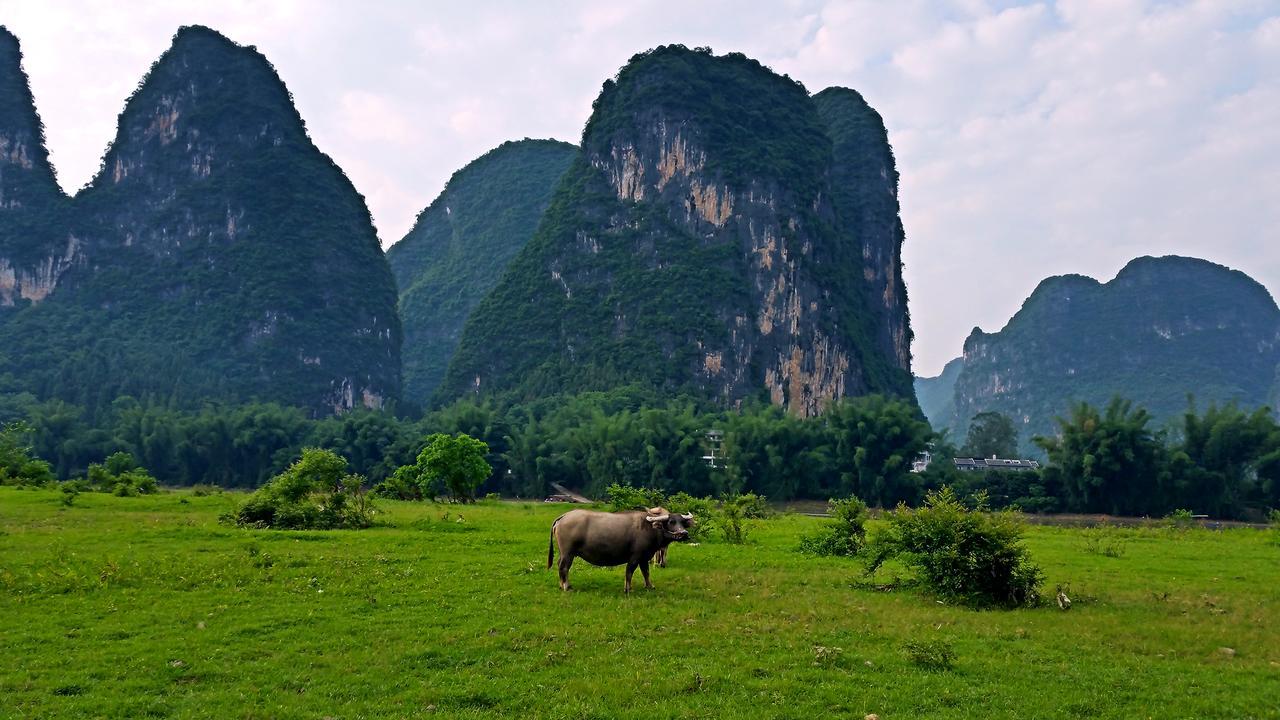 Li-River Island Resort Xingping Yangshuo Dış mekan fotoğraf